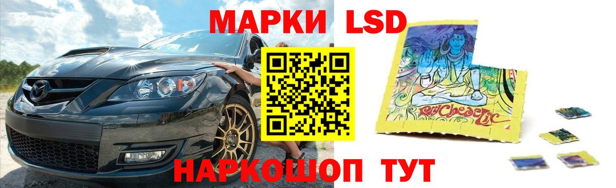 Меф Сокол