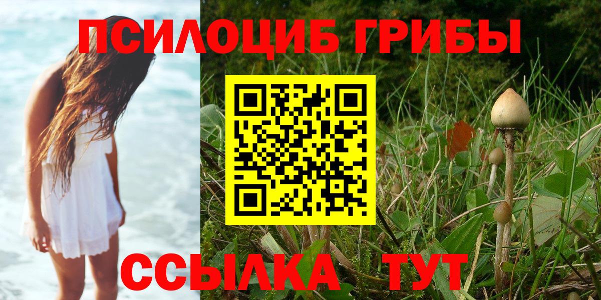 Галлюциногенные грибы ЛСД  наркошоп  Сокол  Вход с VPN 