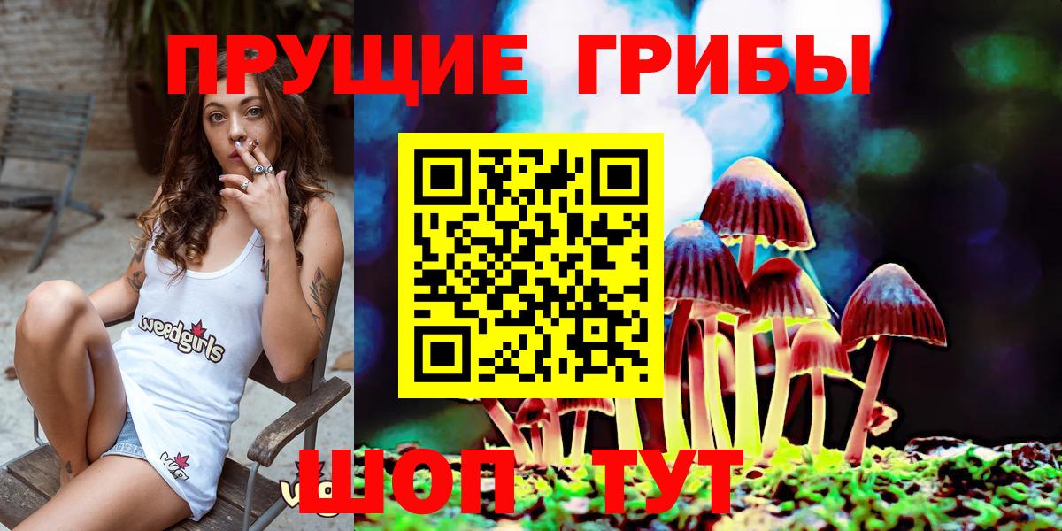 Галлюциногенные грибы GOLDEN TEACHER Сокол